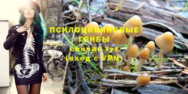 ешки Аркадак