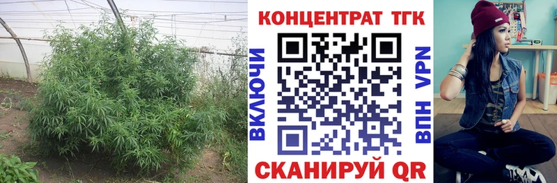 ТГК гашишное масло Суоярви
