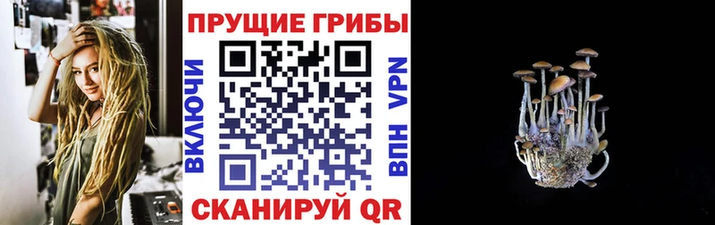 Псилоцибиновые грибы мухоморы цена Суоярви